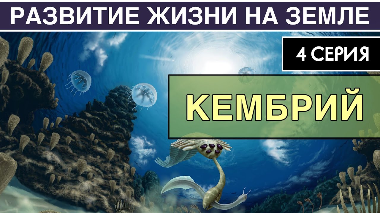 КЕМБРИЙСКИЙ ПЕРИОД. Развитие жизни на Земле. 4 серия | Кембрийский Взрыв