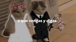 Las Ligas Menores - Accidente (Letra) || y de pronto un accidente 🩷