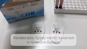 Тест на определение группы крови у кошек