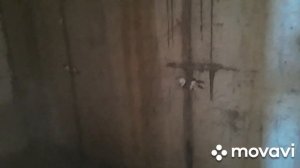 Подготовка стены к нанесению гидроизоляции.