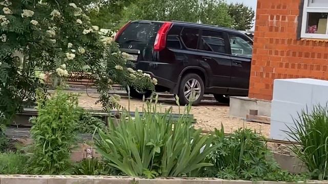 Хвойные и не только. «Обзор»от 26.05.23. Санитарная обрезка сада. В голубике хрущ!… смотреть онлайн