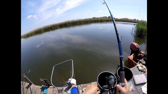 Рыбный день карась .тарань . рыбец . подлещик смотреть онлайн