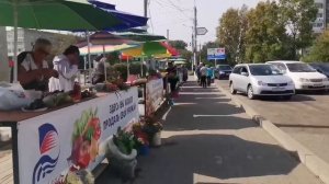 Влог: Мой муж это очень не любит /Деньги на ветер/  Пересадила драцену/Один день из нашей жизни..