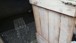 строю бюджетный сарай для свиней и моё хозяйство,влог.