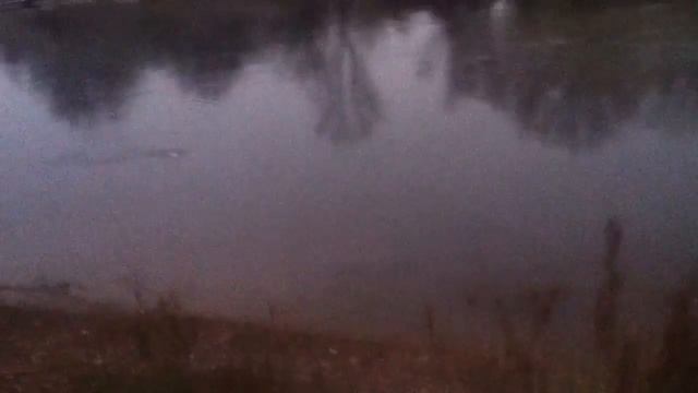 забагрил усача смотреть онлайн