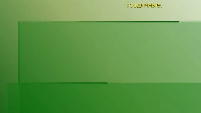 Красная книга растений Тульской области смотреть онлайн