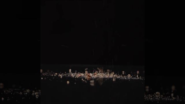 Weissgauff WGM 580 Bronze | Мельничка для специй электрическая смотреть онлайн