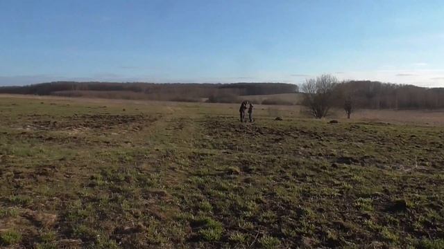 Ищем клад и многое другое с Equinox 600 смотреть онлайн