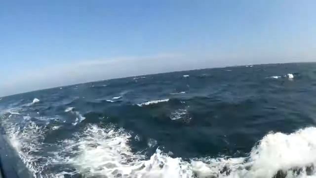 РЫБАЛКА В СЕВЕРНОМ МОРЕ НА КОРАБЛЕ ГААГА смотреть онлайн