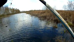 Весенняя ловля карася на поплавок!