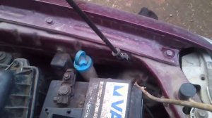 Крыса под капотом