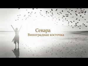 Севара ( Виноградная косточка )