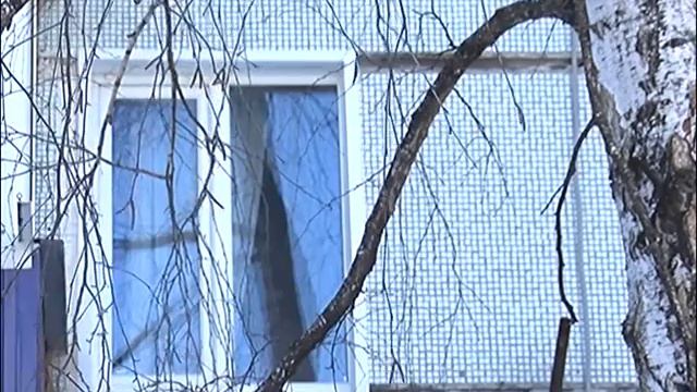 В Сызрани настойчивый мальчик помог спасти птицу смотреть онлайн