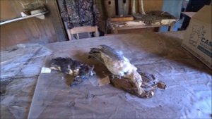 ПОЕЗДКА НА БАГГИ В ЗАБРОШЕННУЮ ДЕРЕВНЮ И ОТДЫХ С ПАЛАТКАМИ