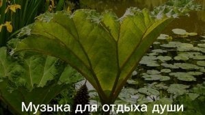 СЕРГЕЙ ГРИЩУК,,Я БУДУ ПОМНИТЬ,,,,,ТОЛЬКО ТЫ Музыка Сергей Грищук | Музыка для отдыха души #музыка