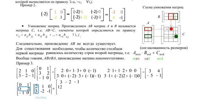 Линейная алгебра Лекция 1 Матрицы