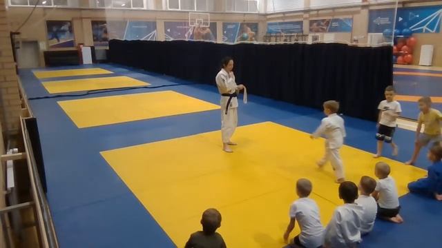 Тренировка младшей группы дзюдо 17.11.2022 (19:15) смотреть онлайн