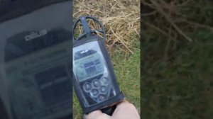 Глюк катушки Xp deus!