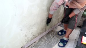 Многие и не знают, что от ЧЕРНОЙ ПЛЕСЕНИ можно избавиться ТАК