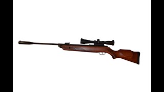 Пневматическая винтовка Gamo Hunter 1250 VS RAVEN смотреть онлайн