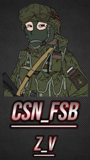 PUBG CSN_FSB / Z_V