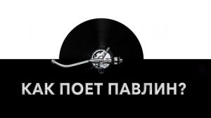 Как поет павлин? ?️ Звук поющего павлина и какие звуки издает павлин