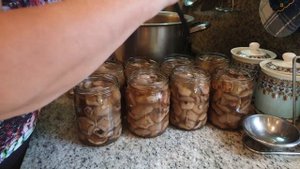 Маринованные маслята, подосиновики на зиму.  Переработка и хранение грибов для жарки. Часть2