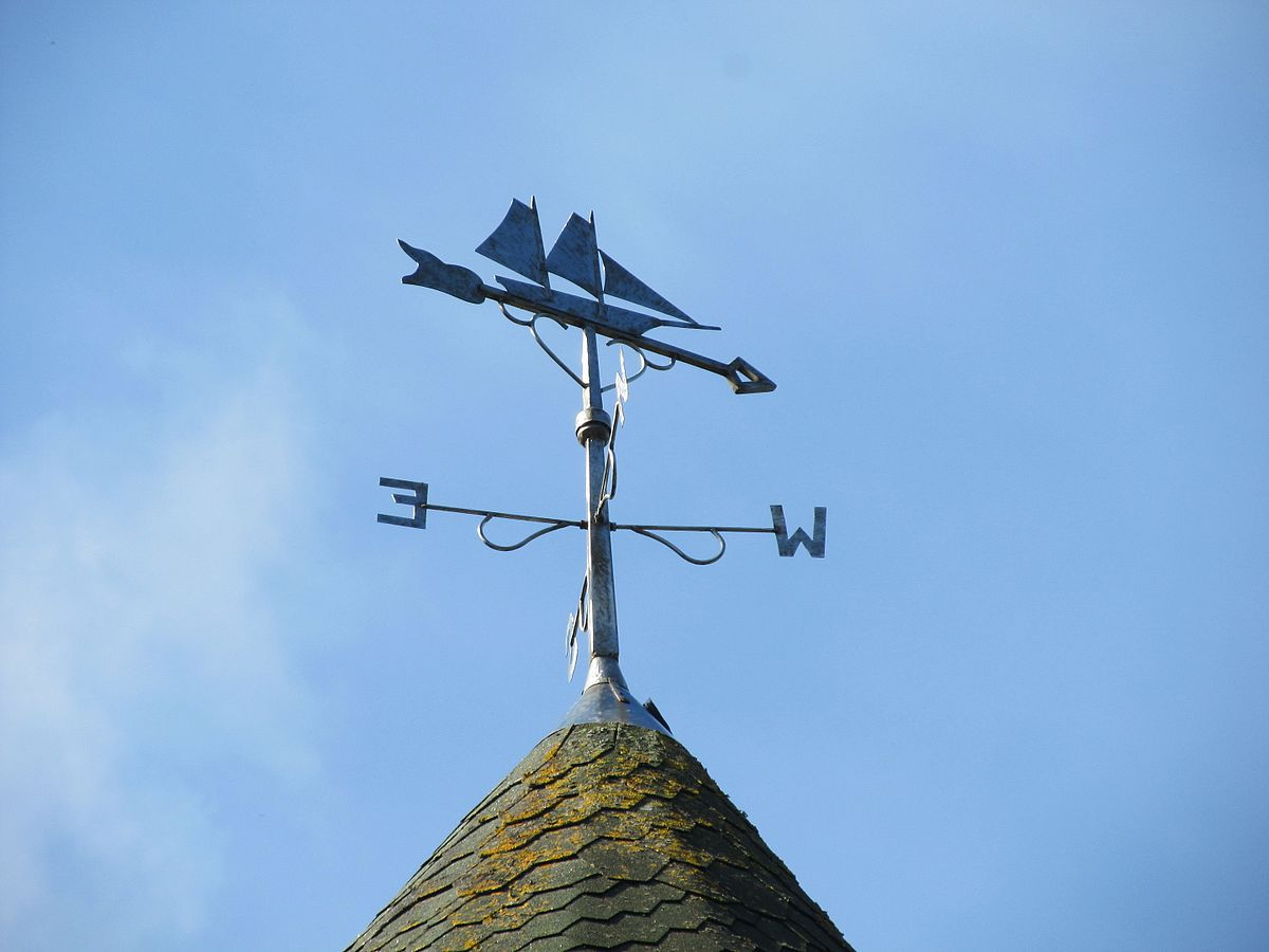 Флюгеры в нашей жизни на примере журналистов и блогеров смотреть онлайн