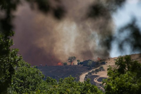 На Сицилии бушуют лесные пожары