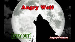 Заточка АК-109 (Не Фартовая заточка АК-109) ускорение-х4. Stalker Online (Stay Out). EU1/US1