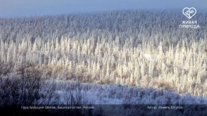 Гора Большой Шелом. Южно-Уральский заповедник _ South Ural Reserve, Russia