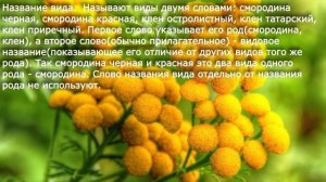 19. Систематика растений, ее значение для ботаники. Биология 6 класс - Пономарева. Краткий пересказ