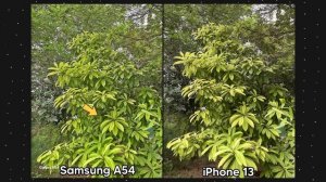 Samsung Galaxy A54 vs iPhone 13 Camera Comparison | Samsung A54 Camera Test