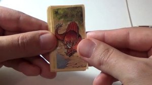 №16 Смотрим наклейки Dinosaur Planet из 90 х