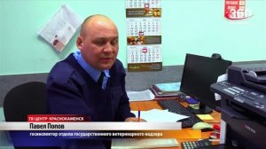 Наша продукция: в Краснокаменске работает и активно развивается молочный цех