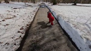 Дух Ияхо из Spore в реальной жизни