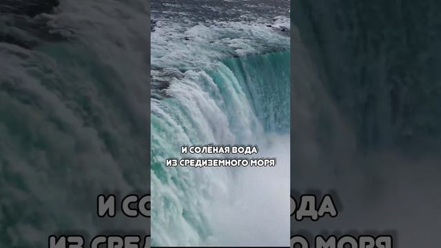 Откуда в Черном море сероводородный слой?