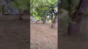 Усадьба в Красиково.(Дом и окрестности).