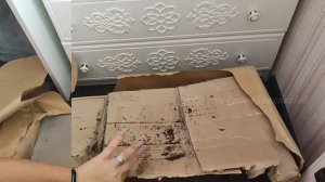 АНТУРИУМ РЕДКИЕ СОРТА, Распаковка Посылки