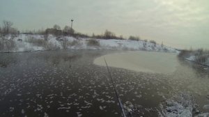 Летний боковой кивок зимой