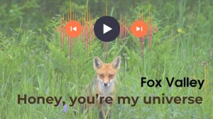 Fox Valley - Honey, you're my universe Harat's 2016