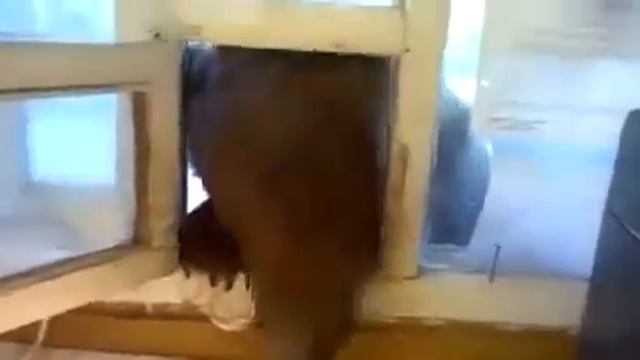 Есть че пожрать смотреть онлайн