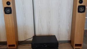 DIYкомпактная напольная акустика в акустическом оформлении TQWT.