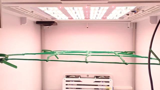 Halk GrowBox у нас в гостях. Автоматический гроубокс. смотреть онлайн