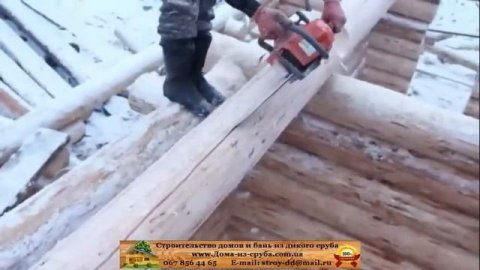Рабочий процесс Дикий сруб