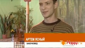 Живые бабочки в подарок