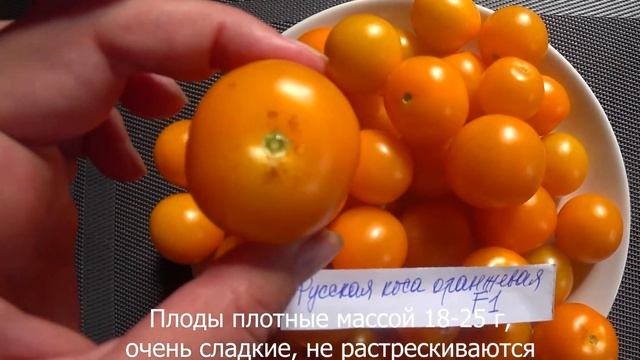 Лучшие ЧЕРРИ томаты и другие гибриды на 2022 год/ Самые вкусные и урожайные  из гибридной теплицы