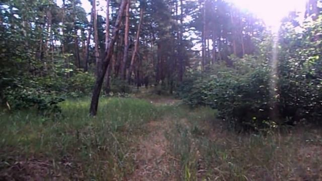 GRANDENIKO ОШТРАФОВАЛИ ИЗ-ЗА САМВЕЛА. САМВЕЛ ХОЧЕТ ДОМ В ИТАЛИИ