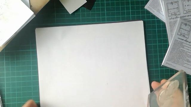 Обзор дизайнерской посылки от производителя штампов Белый Ворон смотреть онлайн