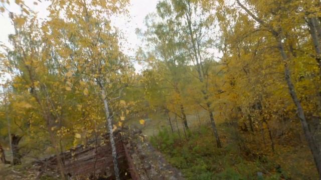 Церковь Воскресения Словущего в Малом Новоселье смотреть онлайн